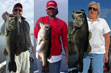 Butler Chain Bass Guide