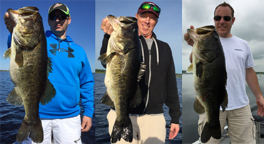 St Johns River Bass Guide